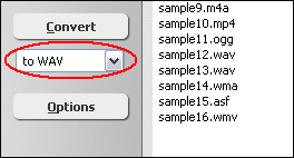 convert ds2 to wav